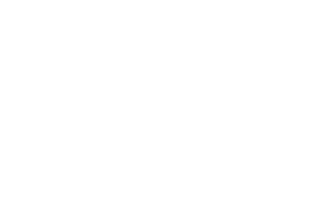 Cinequest &mdash; USA Premiere 2025