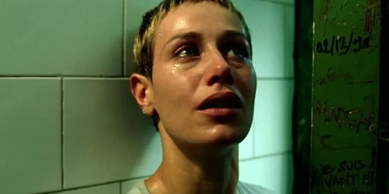 Movies Like High Tension: Brutal, Relentless Survival Horror