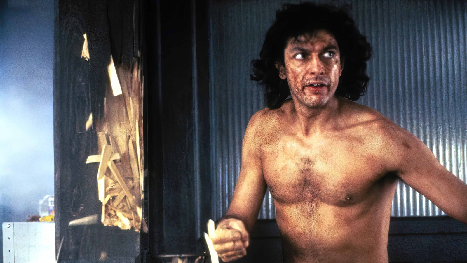 Seth Brundle shortly after the teleportation accident in The Fly