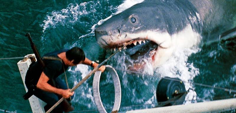 The shark attacking near a floating barrel as a man with a rifle reaches out in Jaws (1975)