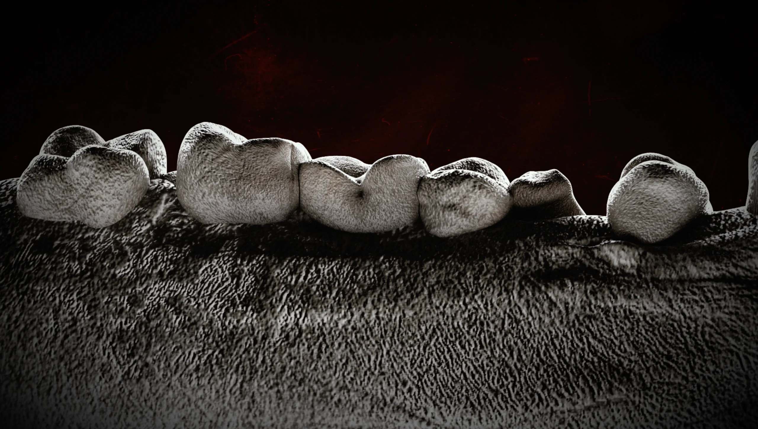 Blood Star (2024) still
